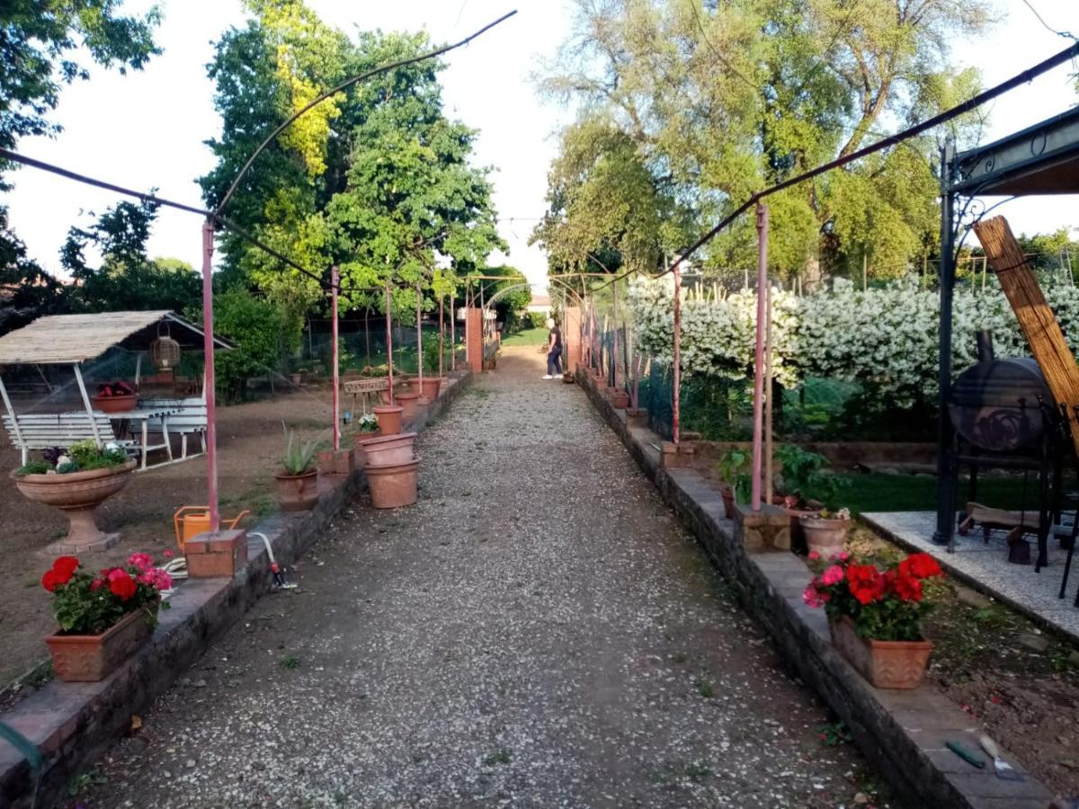 Alle Vecchie Mura Pistoia Kültér fotó