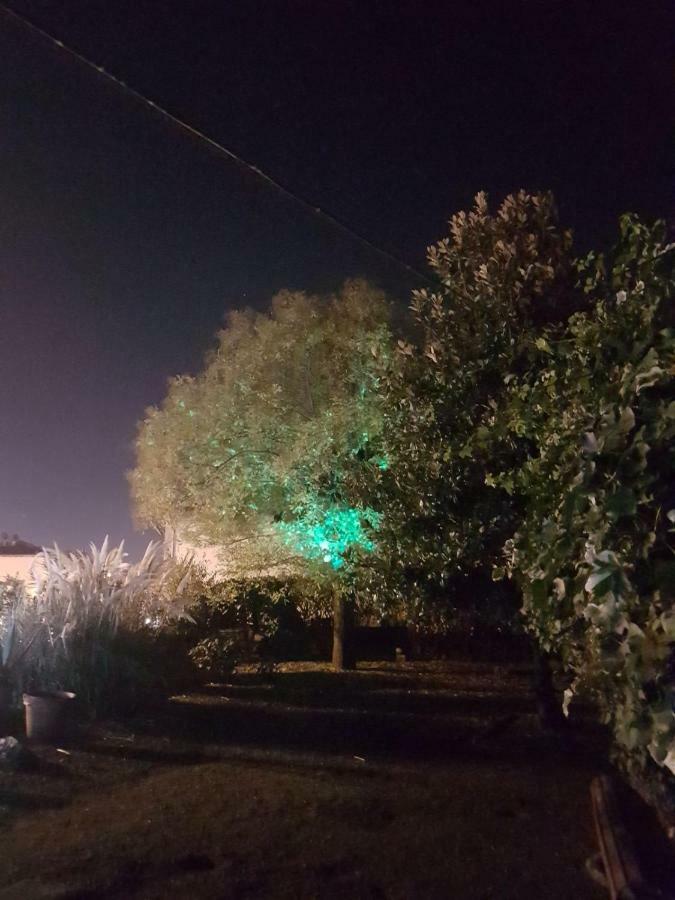 Alle Vecchie Mura Pistoia Kültér fotó